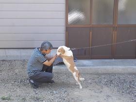 うめ　です。