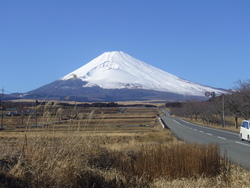 富士山