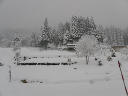 今日も雪が・・・