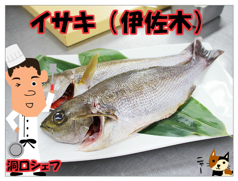 イサキのムニエル　白ワインソース　ラタトゥイユ添え