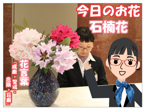 石楠花　花言葉は荘厳