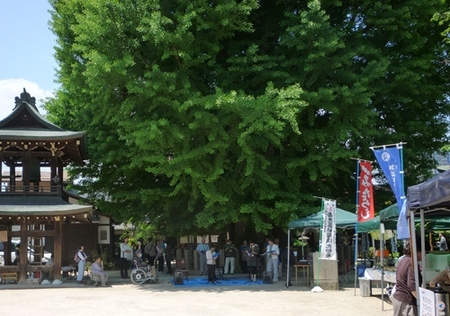 飛騨国分寺 八日市に行ってきました！