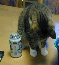 飲んだくれ・・さんに捧ぐ