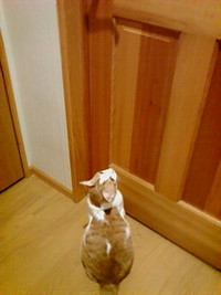 OpenThe・・・
