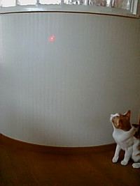 ねこじゃらし