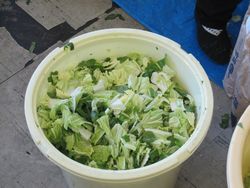 冬と言えば「漬物」！！