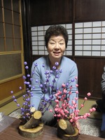 ヒナ餅