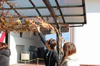 慰安旅行で大騒ぎ♪2012　花兆庵 後編。