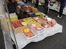 本陣平野屋　ミニツアー