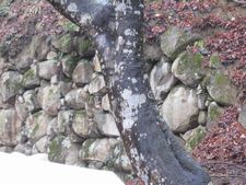 本陣平野屋　ミニツアー