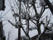 あ～高山は～♪今日も雪なのよ～♪