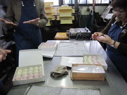 平野屋ミニツアー[古都の和菓子手作り体験]♪