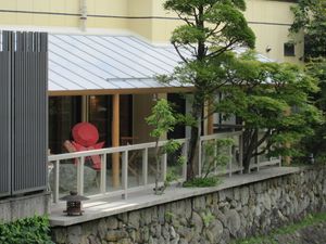 紫陽花がキレイです♪
