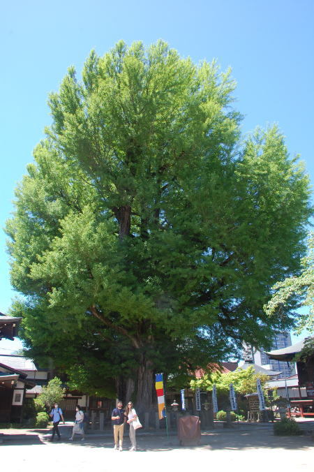 二人静