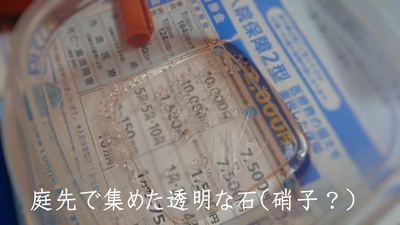 庭先で集めた透明な石（硝子？）