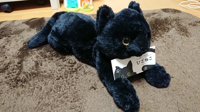 ひざねこ