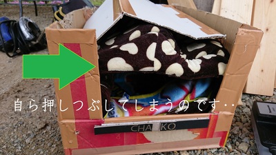 池田電工の、やってみせます！:くろねこちゃんこさん専用ログハウス完成！