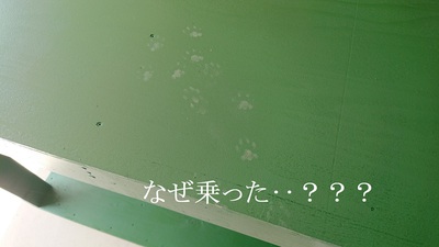 なぜ乗った‥？？？