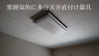 雰囲気的に多分天井直付け器具