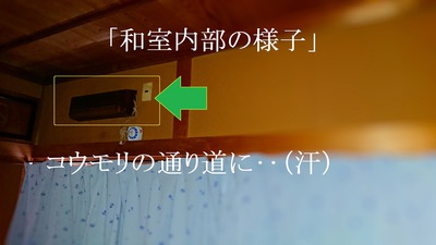 換気扇がコウモリの通り道に‥