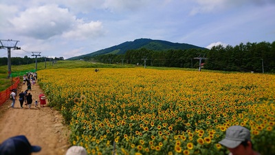 ひまわり園の全景