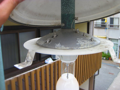 蜘蛛の隠れ家を除去