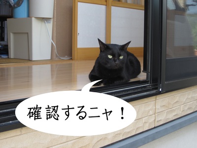 くろねこは作業監督