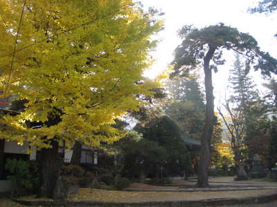 秋のお寺の境内