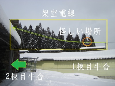 電線が傷ついて見える場所