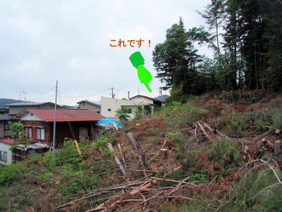 山中アンテナ⑧