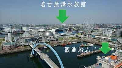 展望室から水族館が見えます