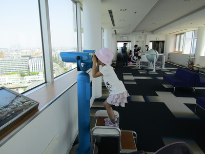 イルカ探し中