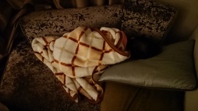 あっというまに眠りの世界へ‥