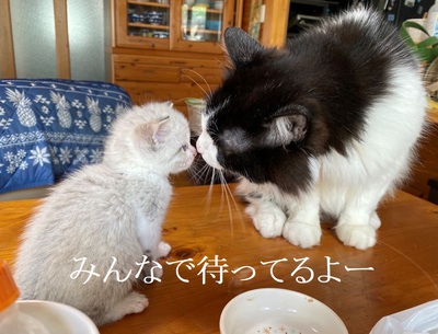 みんなで待ってるよー