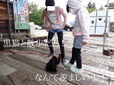黒猫の散歩！なんて羨ましい！！