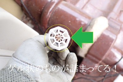 ゲル状のものが詰まってる！