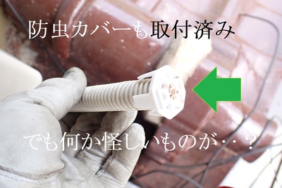 防虫カバーも取付済み！ だけど‥？