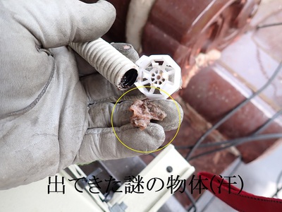 出てきた謎の物体(汗)