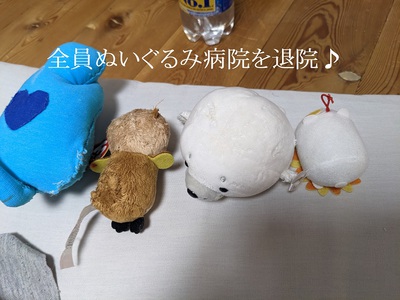 全員ぬいぐるみ病院を退院 全員ぬいぐるみ病院を退院