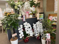 たくさんのお祝いを頂きました！