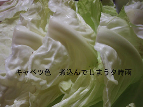 キャベツ色煮込んでしまう夕時雨