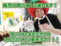 あの生わかめ20日販売に！ 2022/01/18 11:50:38