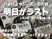 いよいよ今シーズン最後です！！ 2022/03/24 10:42:38
