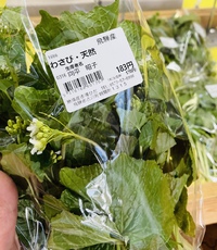 春の味覚がいっぱい！！ 2022/04/12 05:23:46