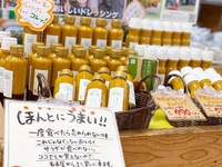 待望の再入荷です！！ 2022/04/02 12:56:53