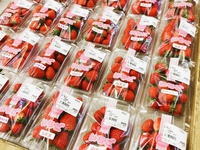 いい香り♪入荷したよ！ 2022/02/14 15:15:12