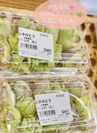 雪解けのお助け品！！ 2022/03/14 21:23:24