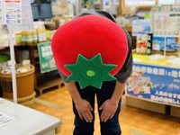 【お詫び】入荷調整中！！ 2022/03/26 11:12:21