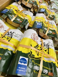 富山ます寿司、大集合！！ 2022/03/06 11:13:13