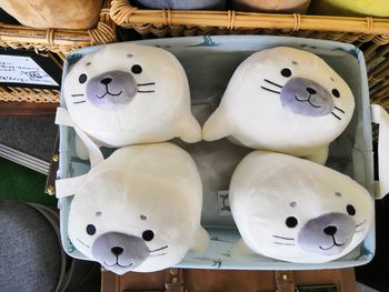 300円雑貨 大人気 どうぶつのぬいぐるみの大本命がついに その名も アザラシ 家具キノクニヤ 飛騨地区最大級の家具 インテリア店